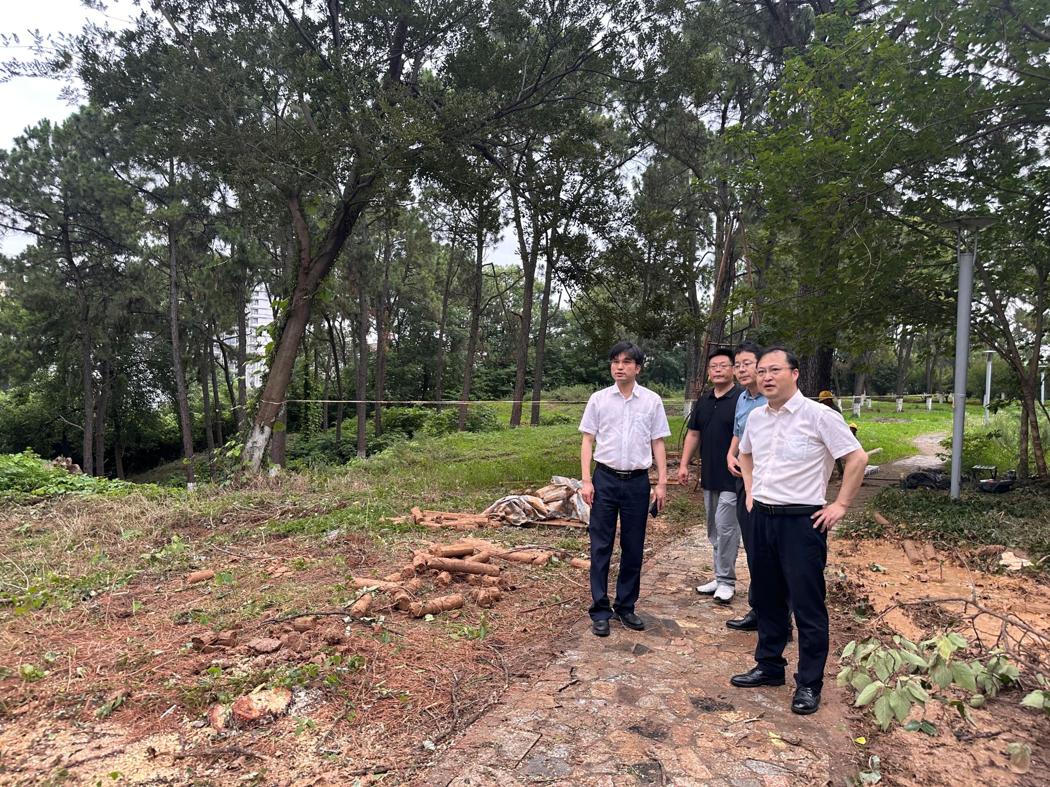 郁明华检查学生公寓B组团林木移植项目推进情况